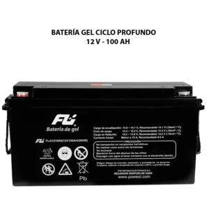 BATERÍAS FULIBATTERY GEL 12V 100AH